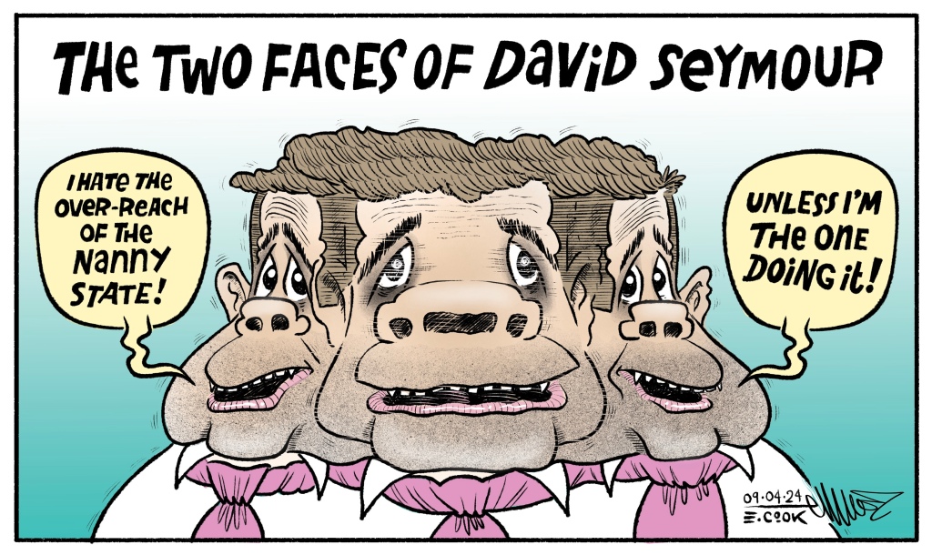The Two Faces of David Seymour